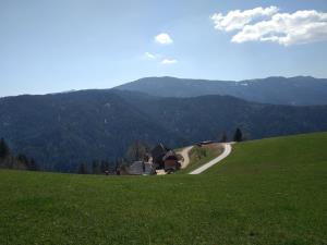 Turistična kmetija Juvan- Foto: Blaž Grabner